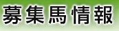 募集馬情報