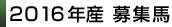 2016産募集馬